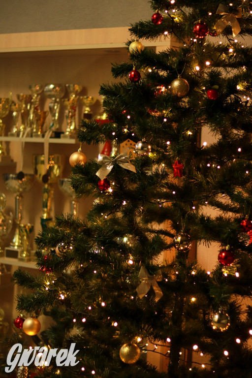 Dzień piernika w Sorbonie