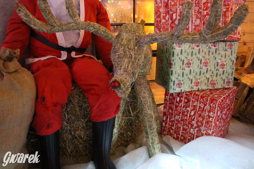 Ogród świąteczny przy burgerowni Wyrąbane