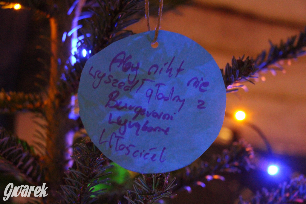 Ogród świąteczny przy burgerowni Wyrąbane