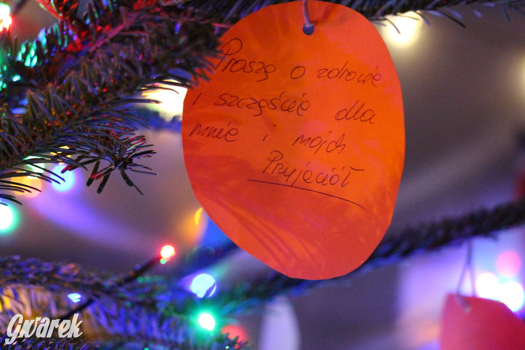 Ogród świąteczny przy burgerowni Wyrąbane