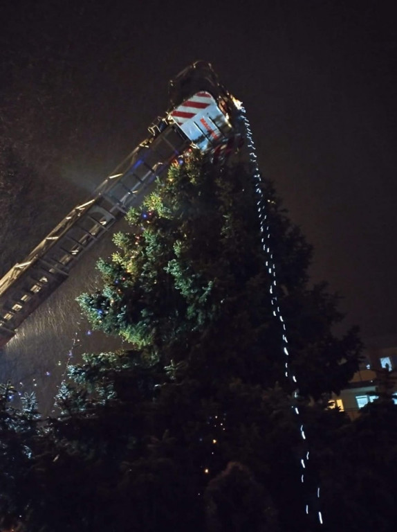 Strzybnica stroi choinkę