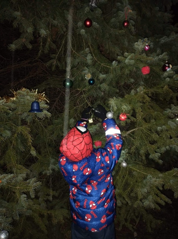 Strzybnica stroi choinkę