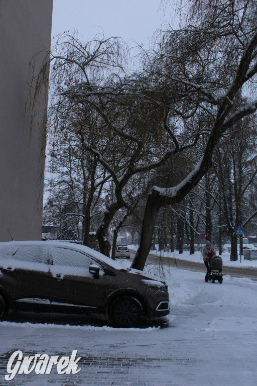 Zasypane Tarnowskie Góry