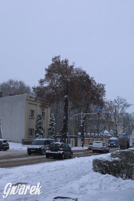 Zasypane Tarnowskie Góry