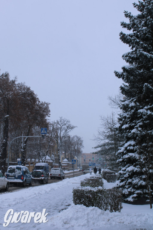 Zasypane Tarnowskie Góry