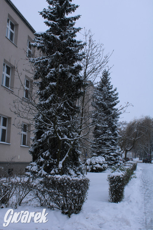 Zasypane Tarnowskie Góry