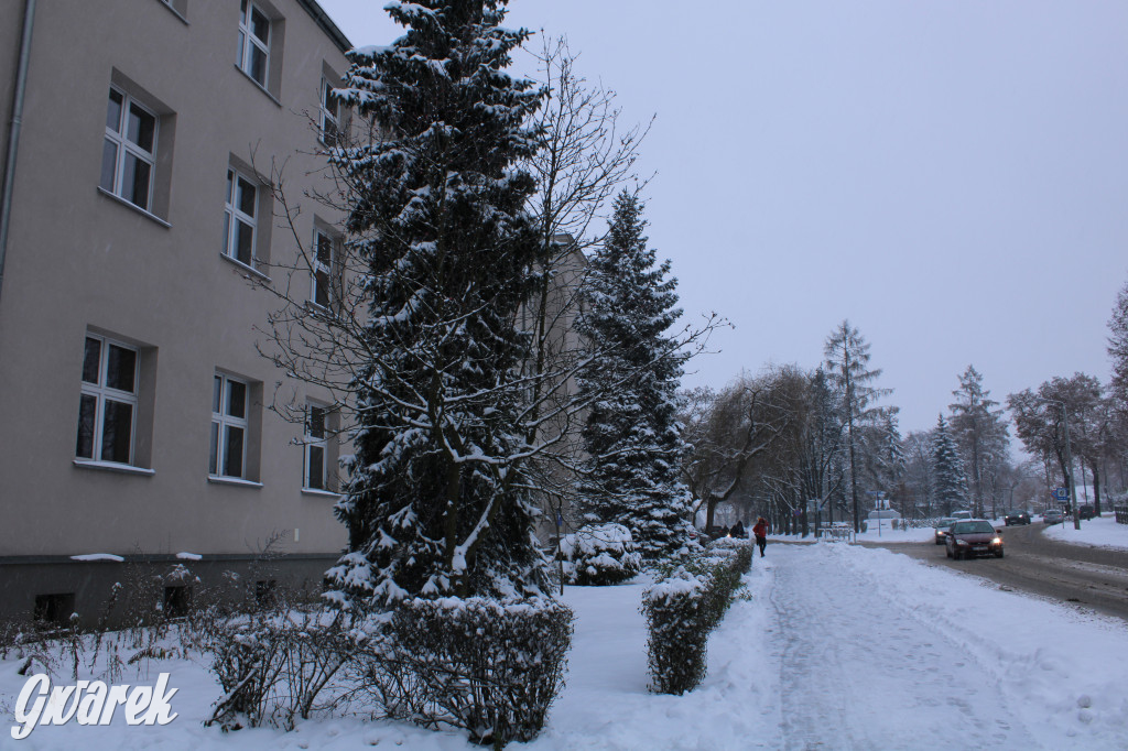 Zasypane Tarnowskie Góry