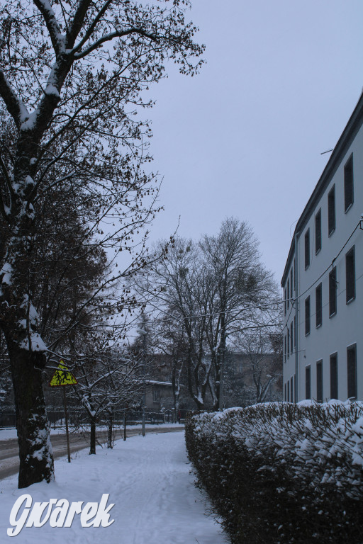 Zasypane Tarnowskie Góry