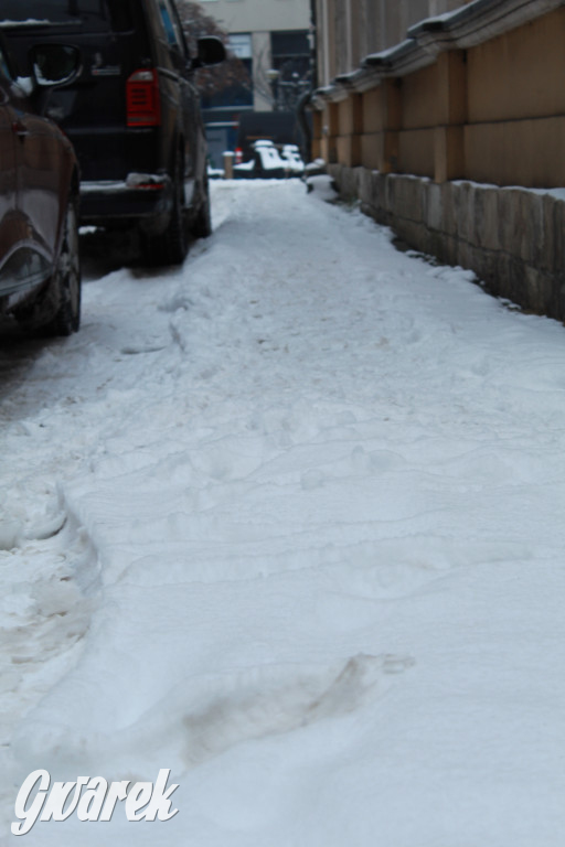 Zasypane Tarnowskie Góry. Jak się chodzi?