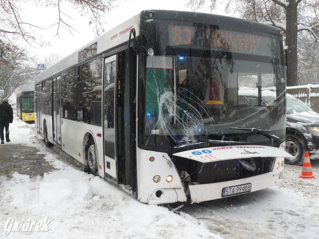 Tarnowskie Góry. Autobus wpadł w poślizg