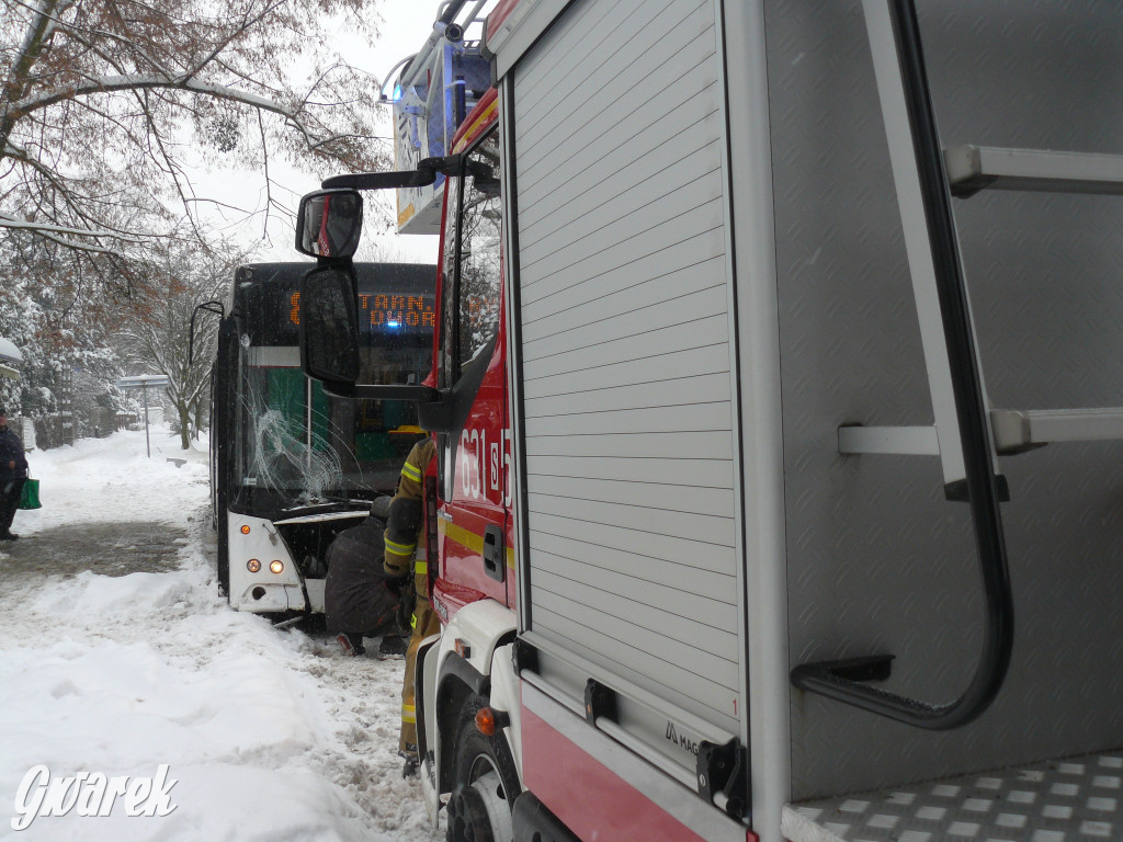 Tarnowskie Góry. Autobus wpadł w poślizg