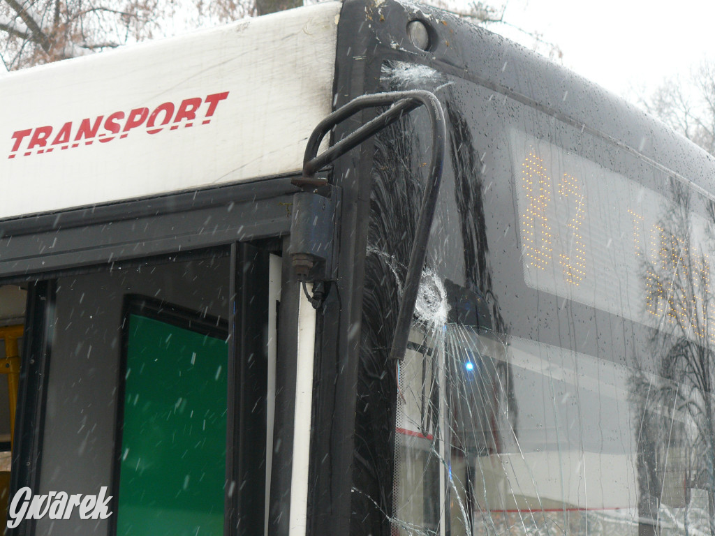 Tarnowskie Góry. Autobus wpadł w poślizg