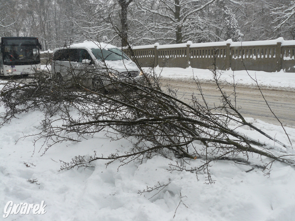 Tarnowskie Góry. Autobus wpadł w poślizg