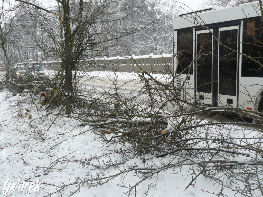 Tarnowskie Góry. Autobus wpadł w poślizg