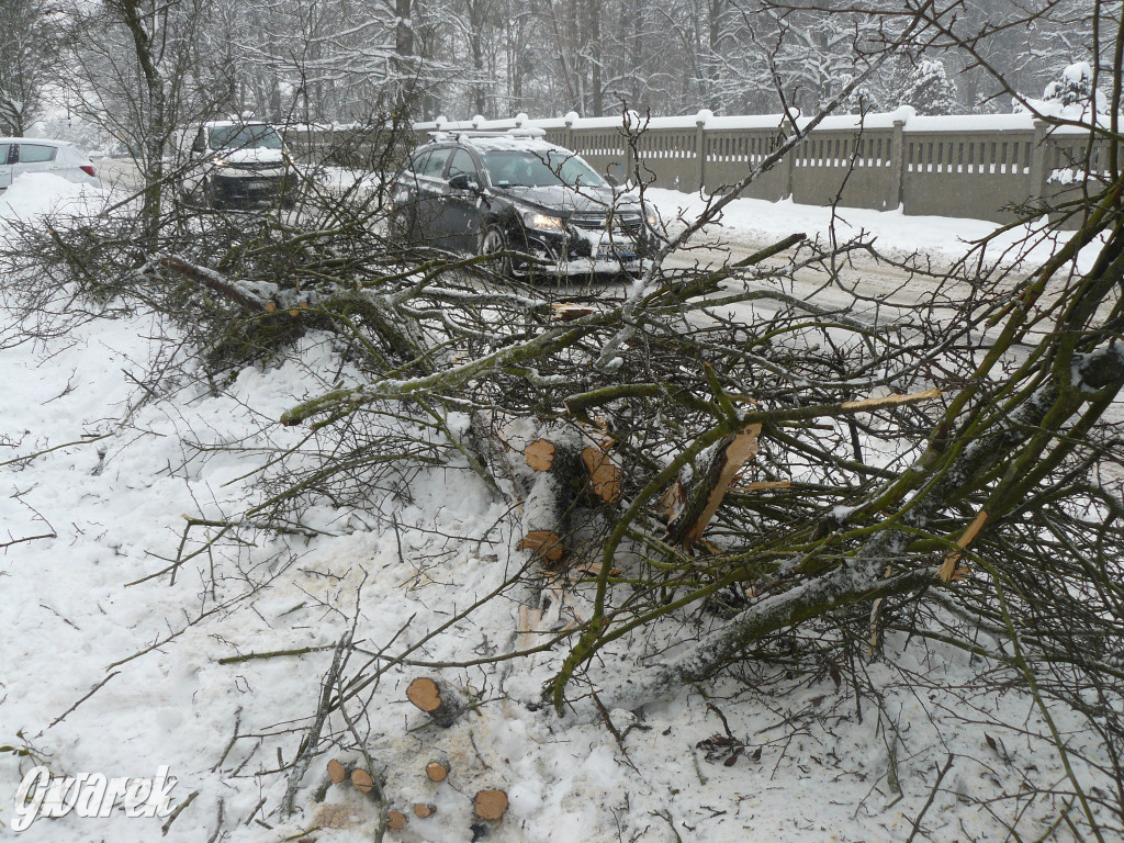 Tarnowskie Góry. Autobus wpadł w poślizg