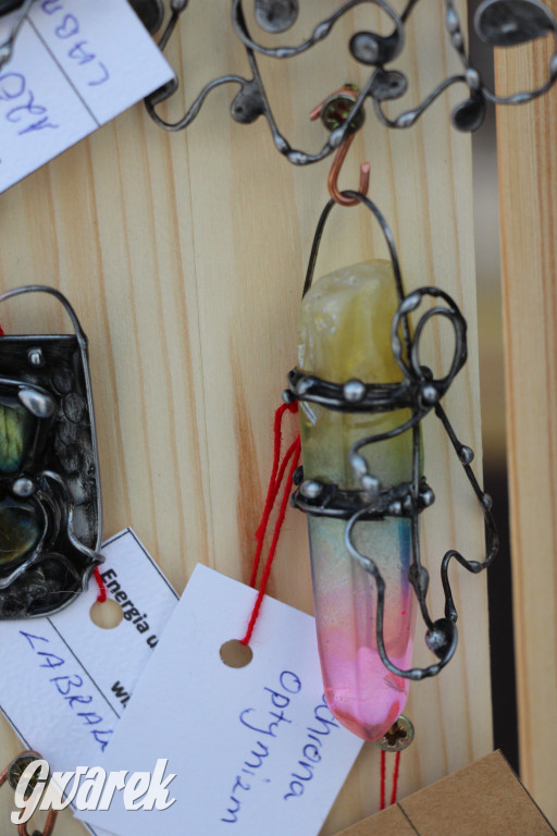 Kamienie do zadań specjalnych Anny Walczakowskiej