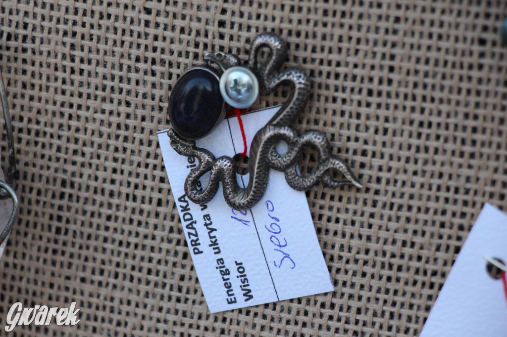 Kamienie do zadań specjalnych Anny Walczakowskiej