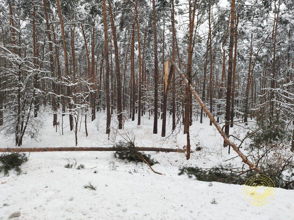 Powiat tarnogórski. Zimowe wyjazdy strażaków