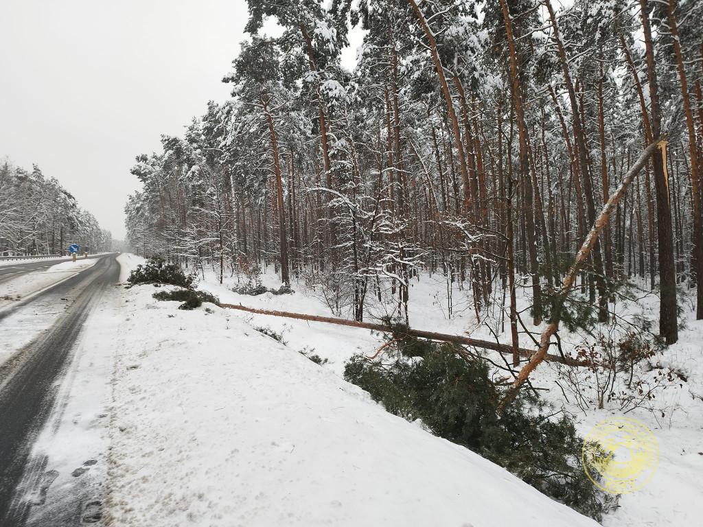 Powiat tarnogórski. Zimowe wyjazdy strażaków