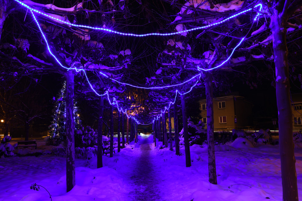 Świąteczne ozdoby na naszych ulicach