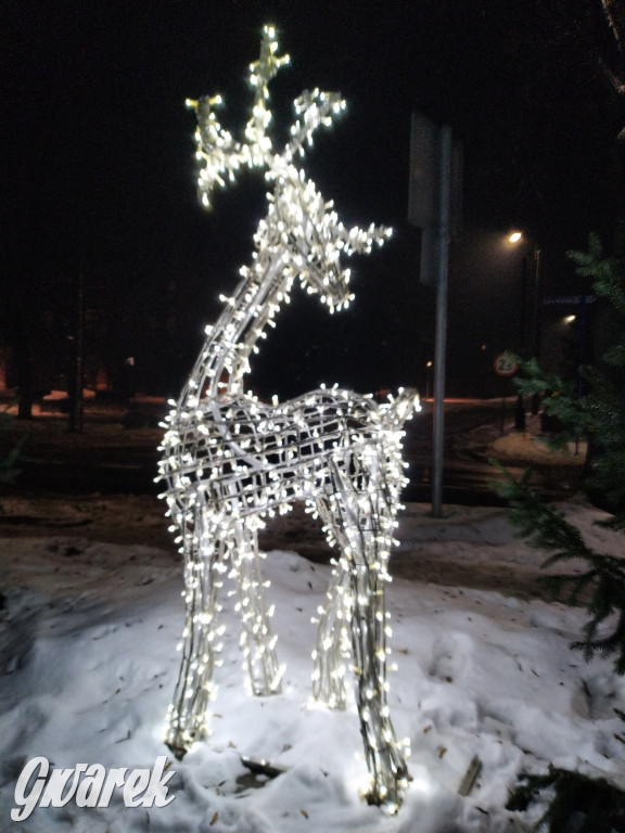 Świąteczne ozdoby na naszych ulicach