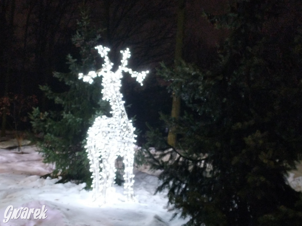 Świąteczne ozdoby na naszych ulicach