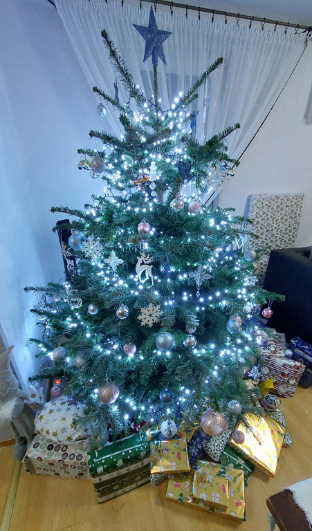 Mój świąteczny dom. Rozstrzygnięcie plebiscytu