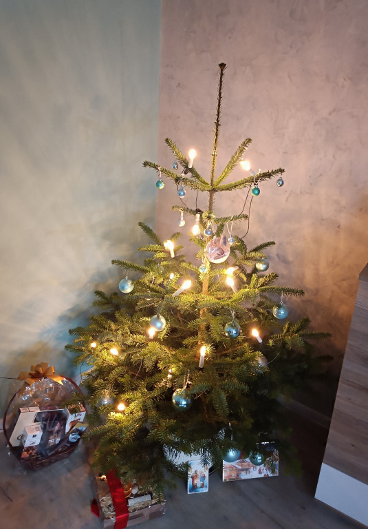 Mój świąteczny dom. Rozstrzygnięcie plebiscytu