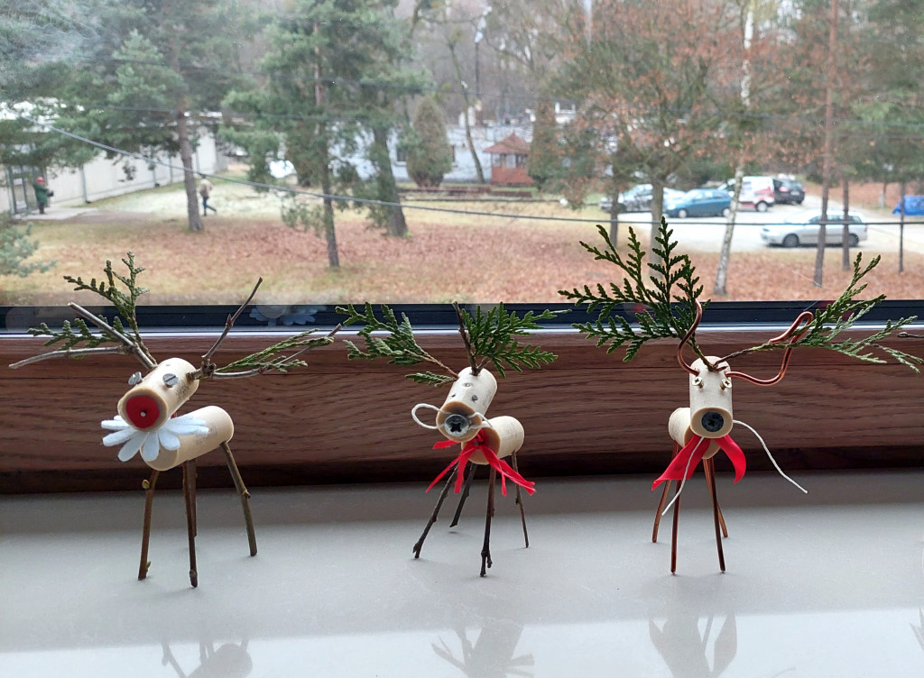 Mój świąteczny dom. Rozstrzygnięcie plebiscytu