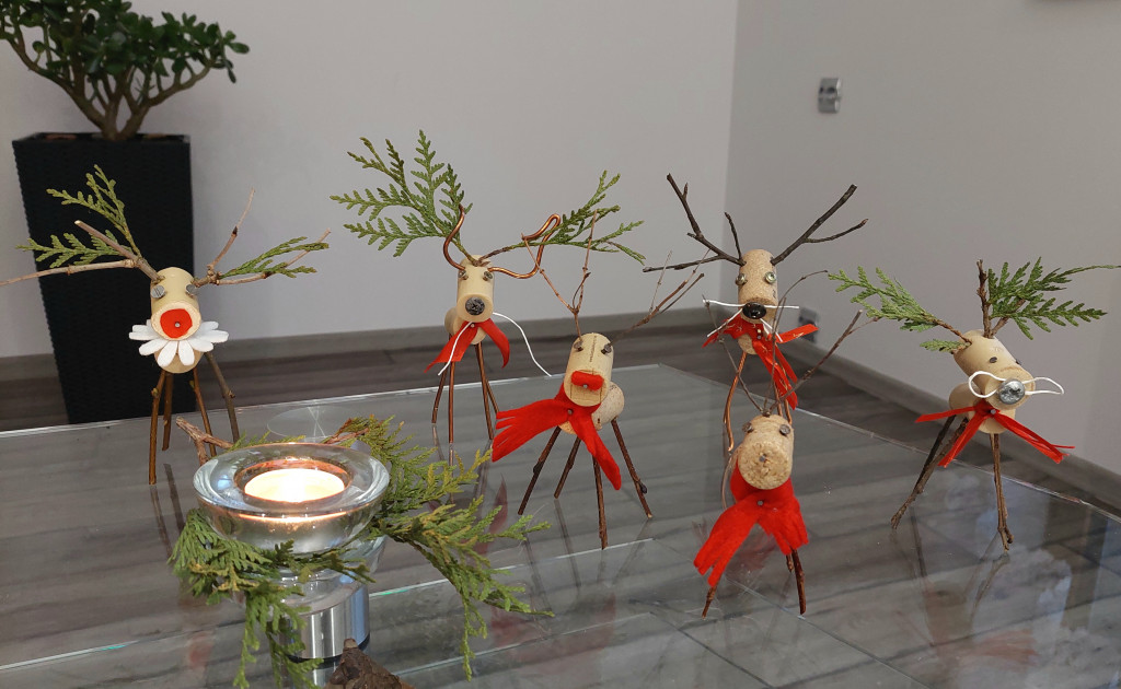 Mój świąteczny dom. Rozstrzygnięcie plebiscytu