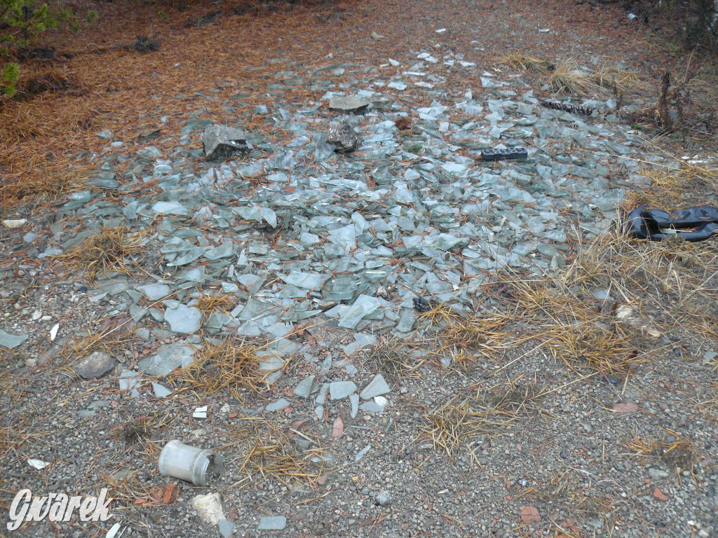 Tarnowskie Góry. Dzikie wysypisko odpadów