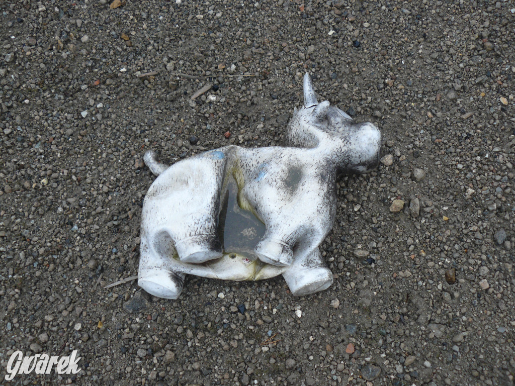 Tarnowskie Góry. Dzikie wysypisko odpadów