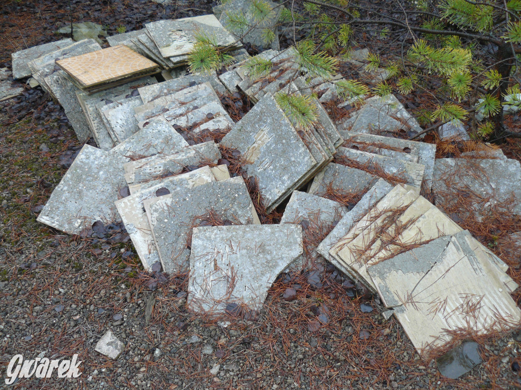 Tarnowskie Góry. Dzikie wysypisko odpadów