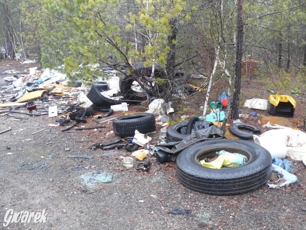 Tarnowskie Góry. Dzikie wysypisko odpadów