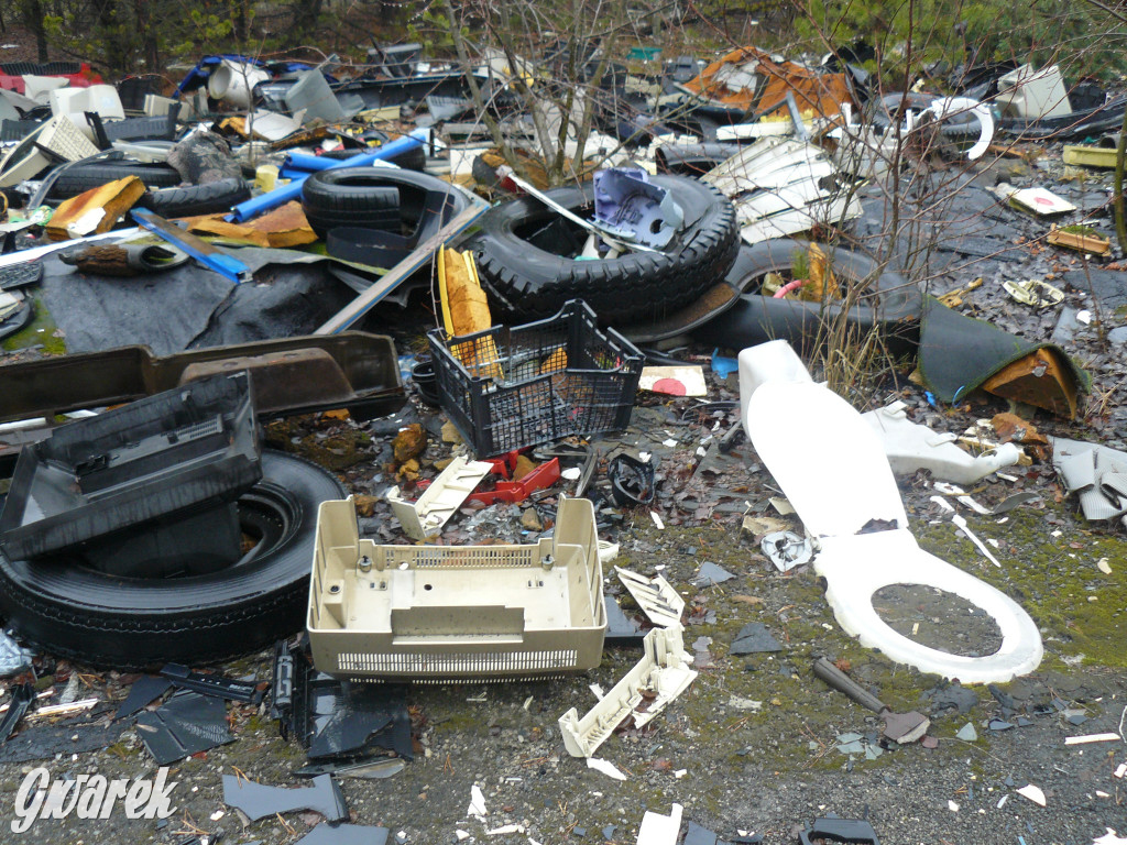 Tarnowskie Góry. Dzikie wysypisko odpadów