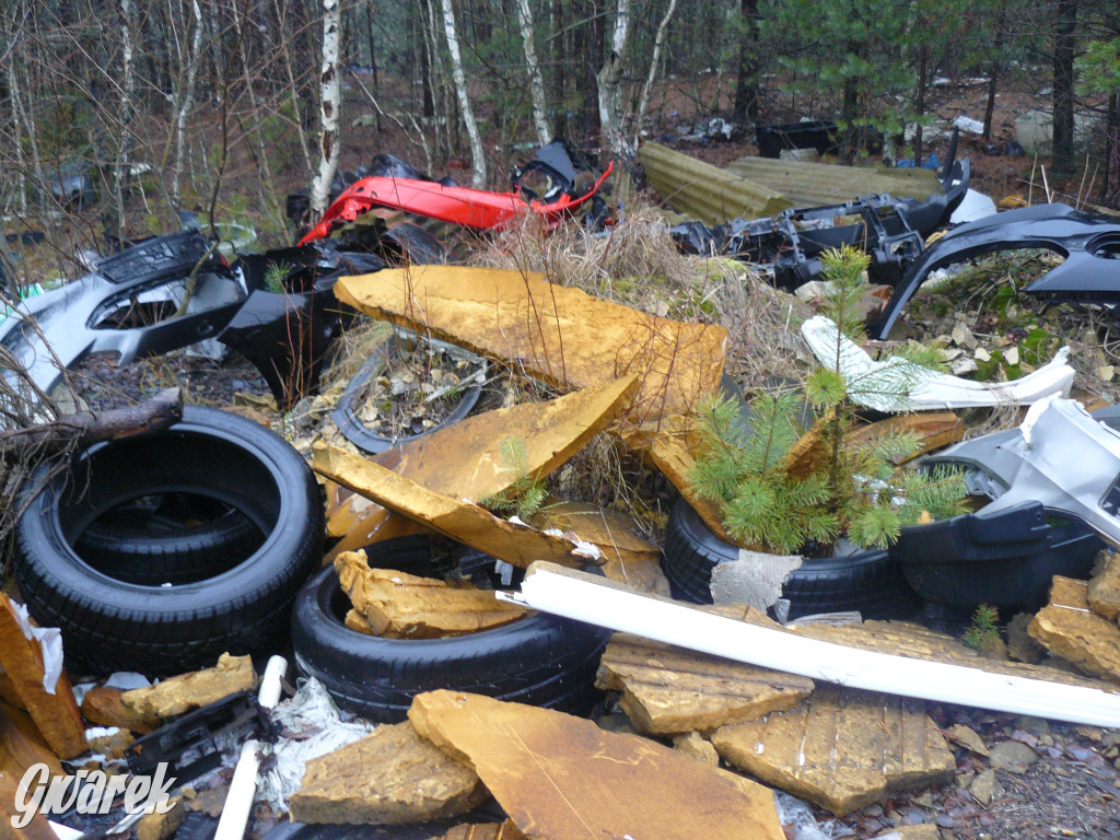 Tarnowskie Góry. Dzikie wysypisko odpadów