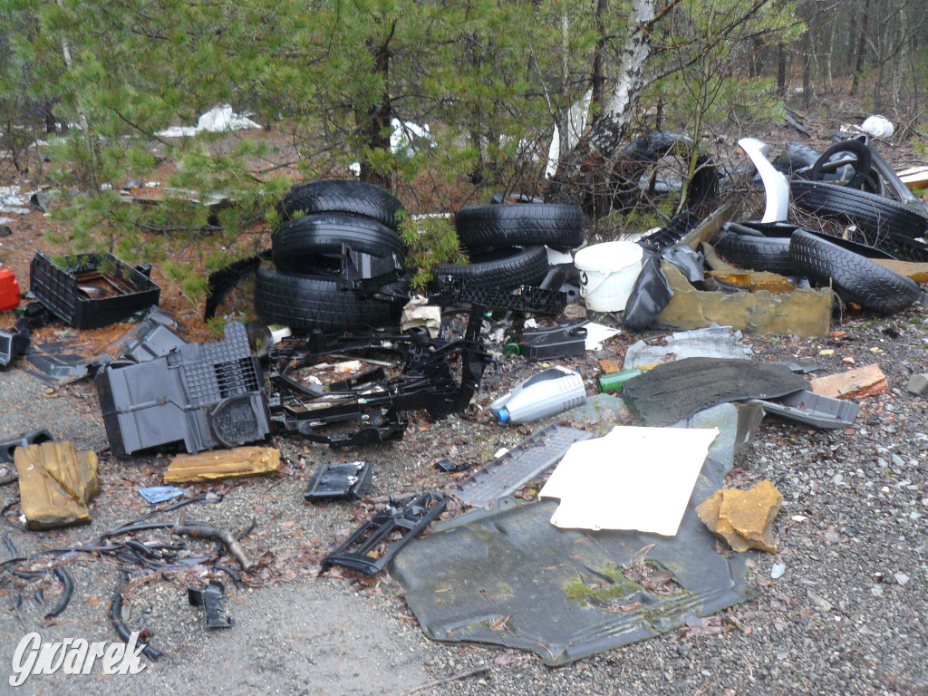Tarnowskie Góry. Dzikie wysypisko odpadów