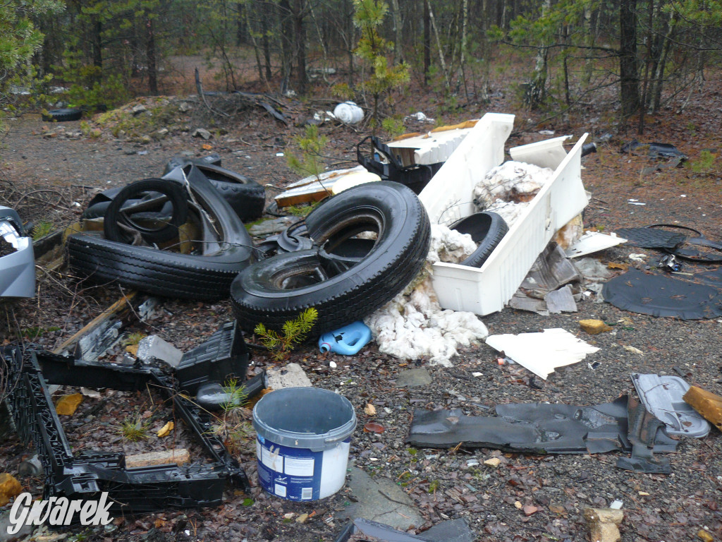 Tarnowskie Góry. Dzikie wysypisko odpadów