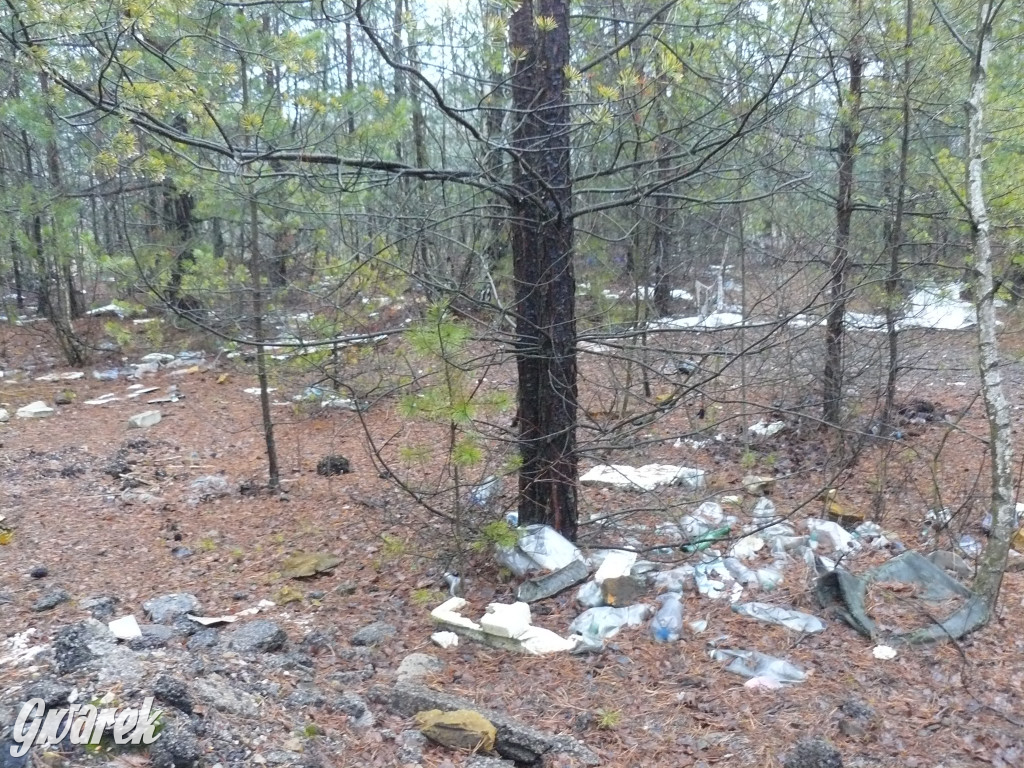 Tarnowskie Góry. Dzikie wysypisko odpadów