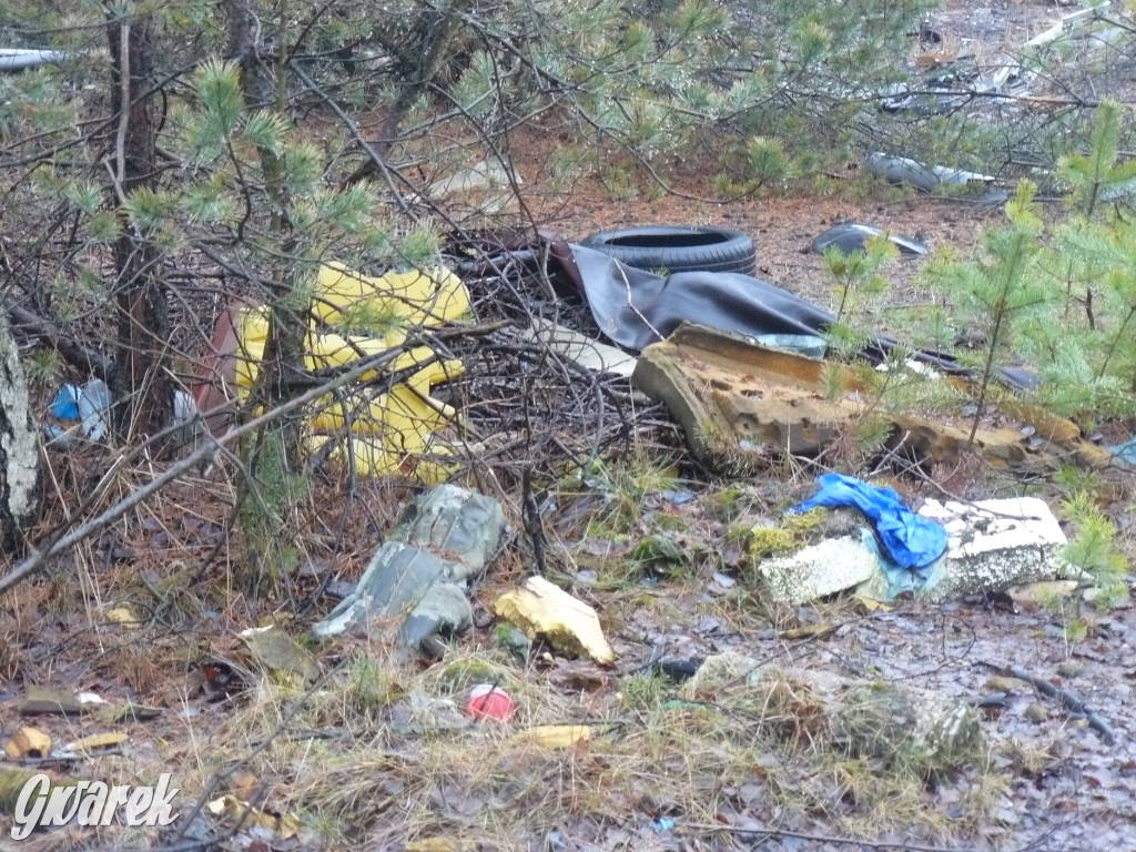 Tarnowskie Góry. Dzikie wysypisko odpadów