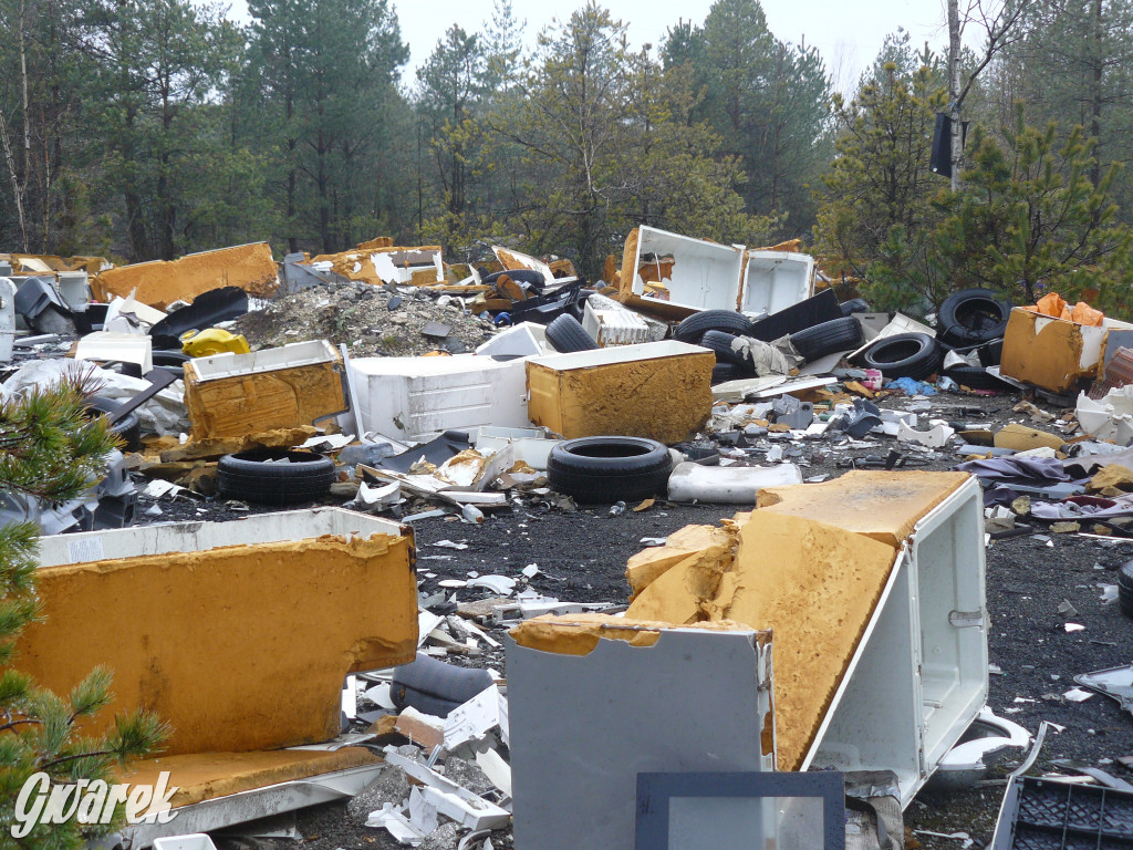 Tarnowskie Góry. Dzikie wysypisko odpadów