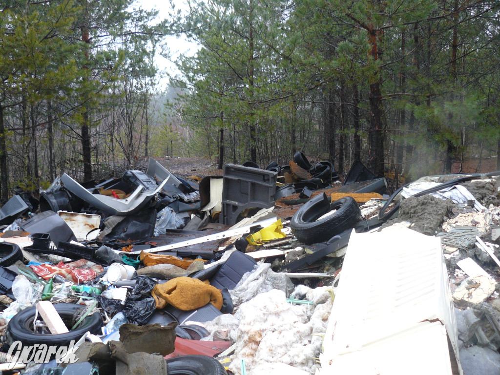Tarnowskie Góry. Dzikie wysypisko odpadów