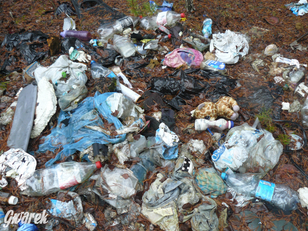 Tarnowskie Góry. Dzikie wysypisko odpadów