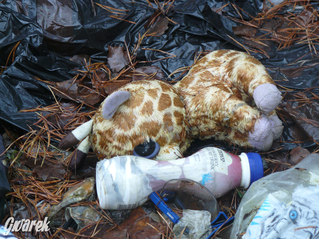 Tarnowskie Góry. Dzikie wysypisko odpadów