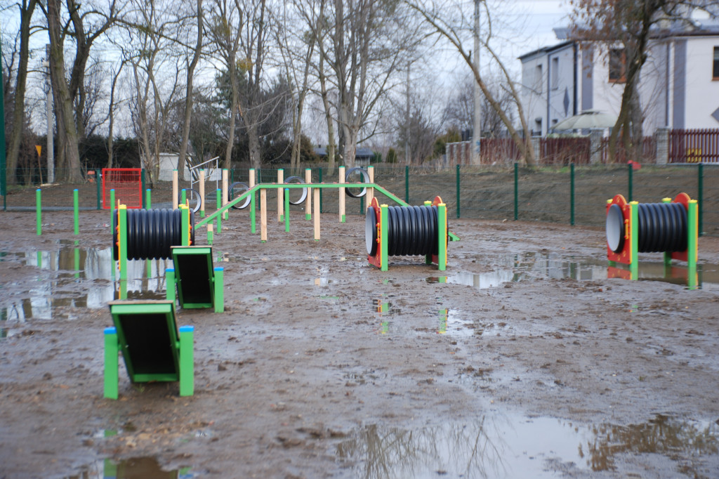 Tarnowskie Góry. Błotny plac zabaw dla psów