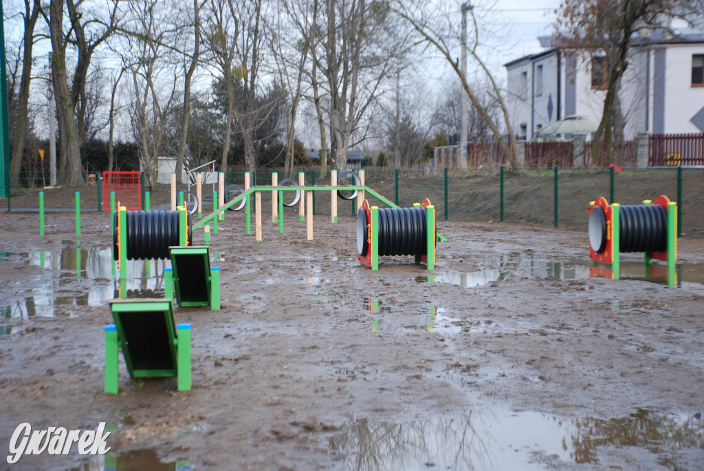 Tarnowskie Góry. Błotny plac zabaw dla psów