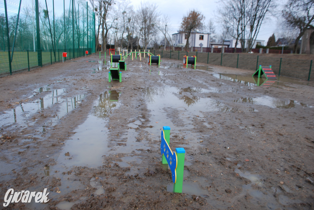 Tarnowskie Góry. Błotny plac zabaw dla psów