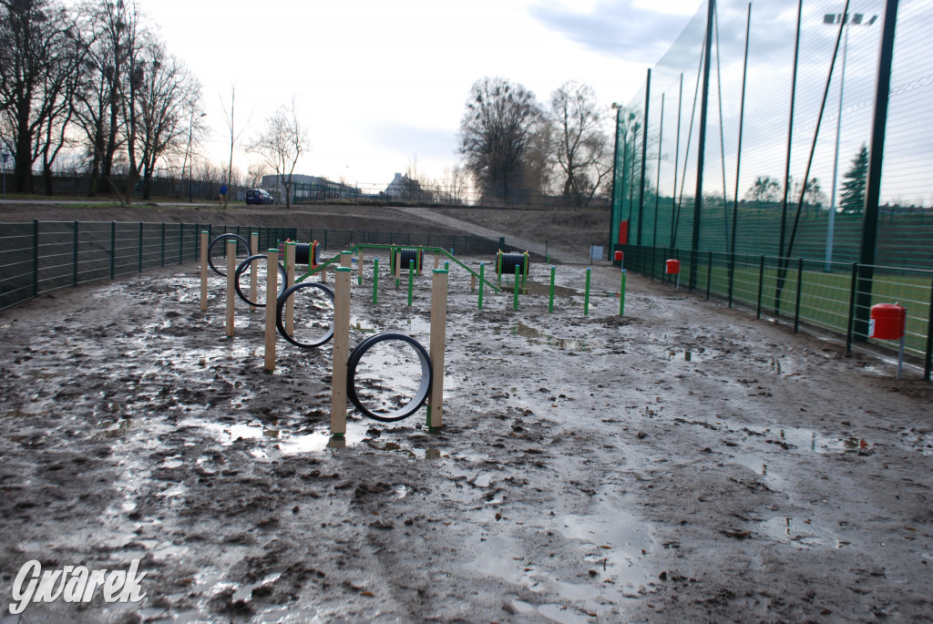 Tarnowskie Góry. Błotny plac zabaw dla psów