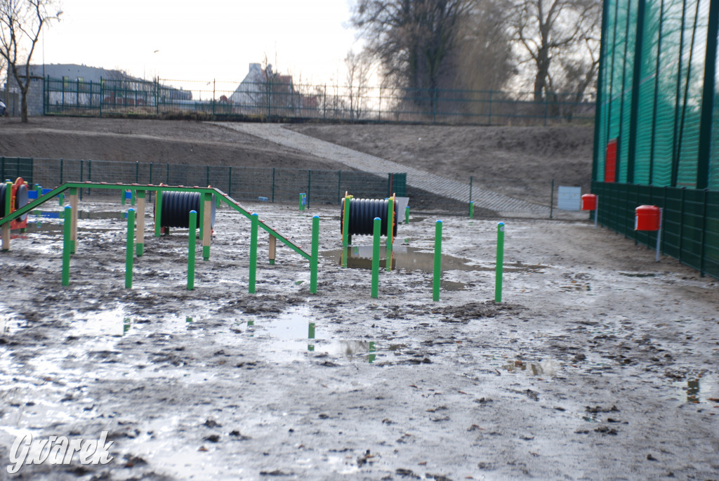 Tarnowskie Góry. Błotny plac zabaw dla psów