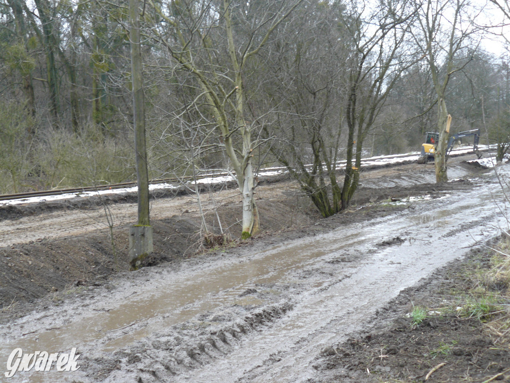 Tarnowskie Góry. Droga rowerowa przy torach